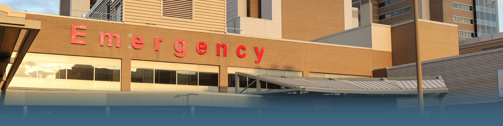 lhsc emergency wait times