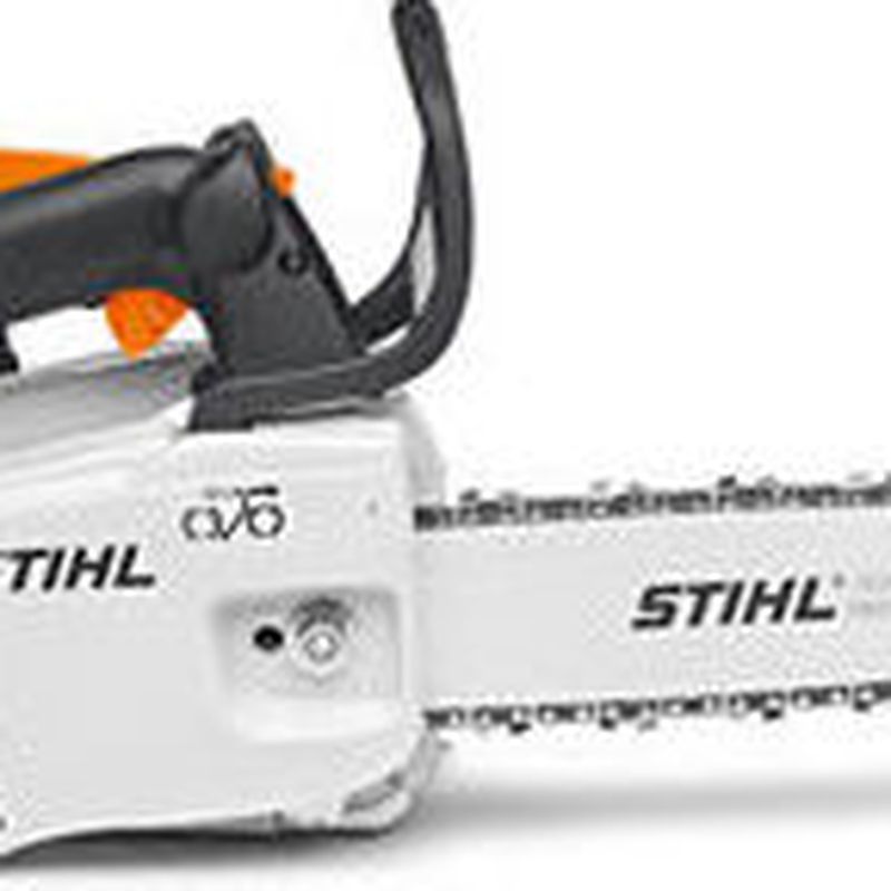 stihl 193 chainsaw