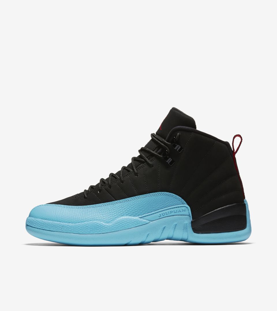 blue jordan 12