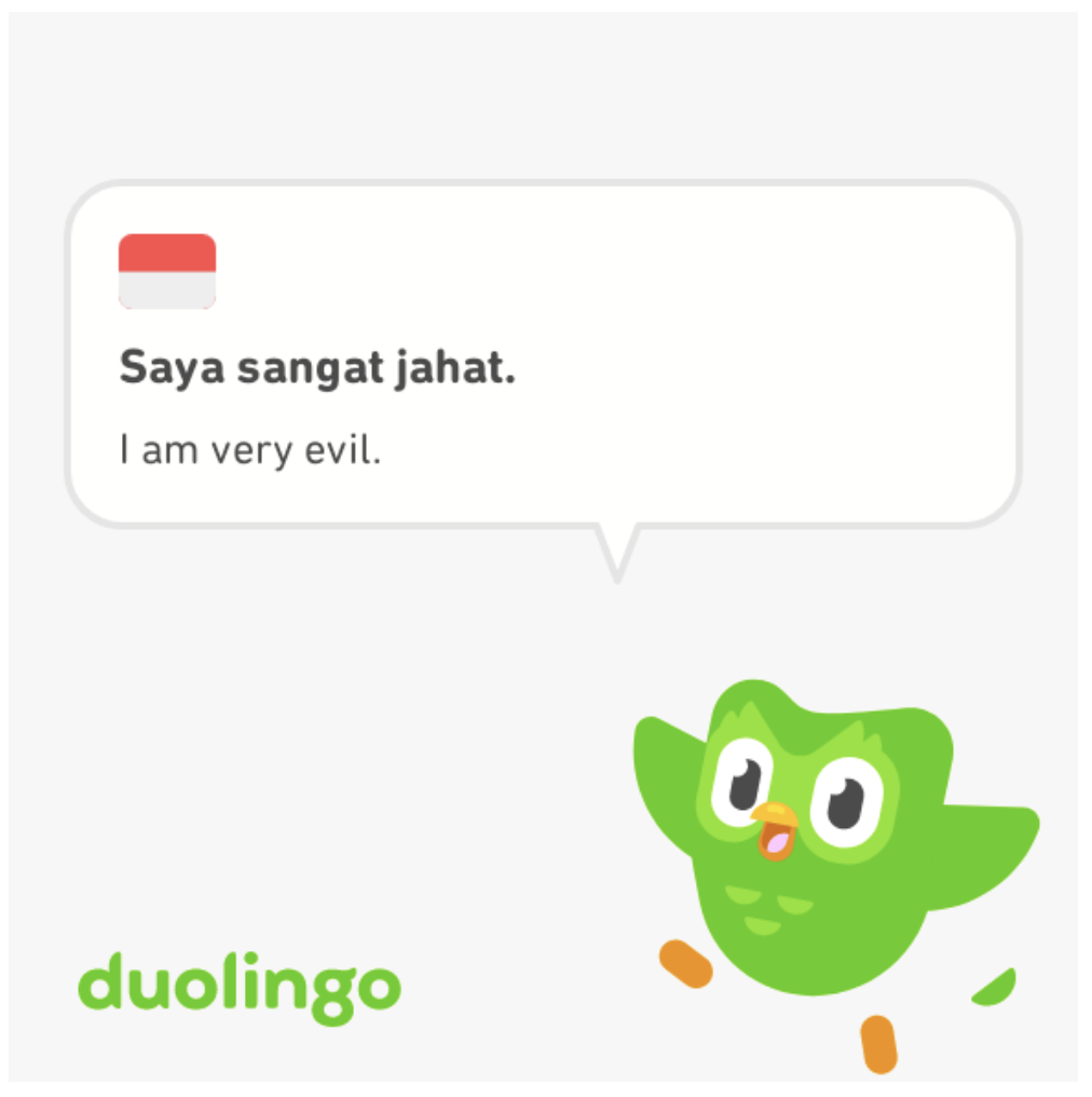 duolingo memes