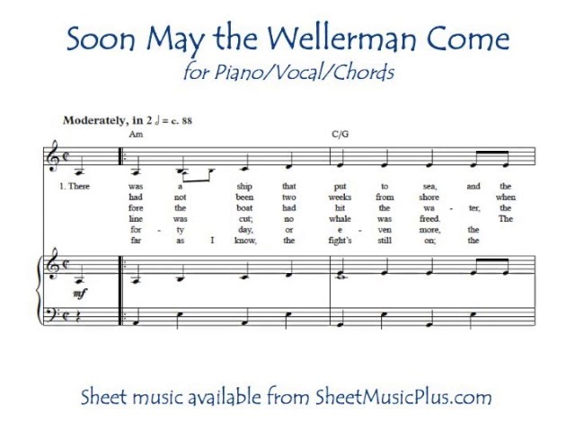 the wellerman chords