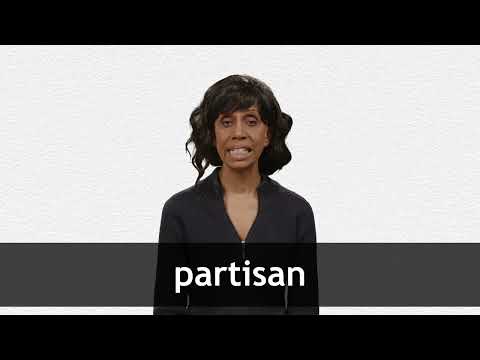 partisan 意味