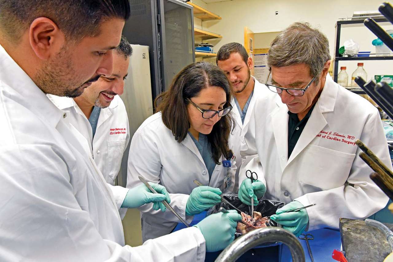 ucla medical center laboratory