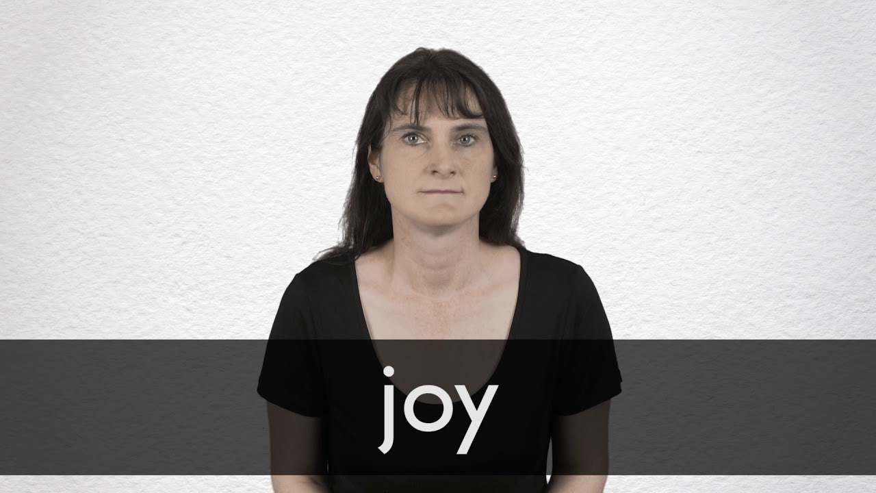 traductor joy