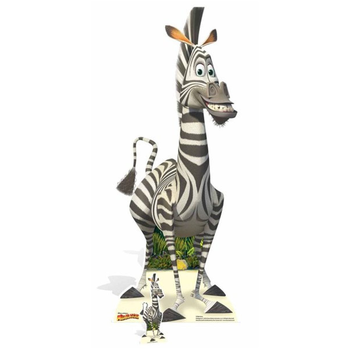 marty zebra madagascar