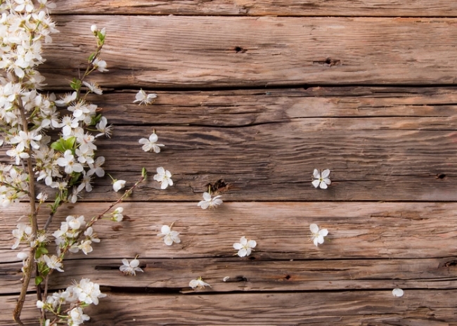 rustic wood background with flowers