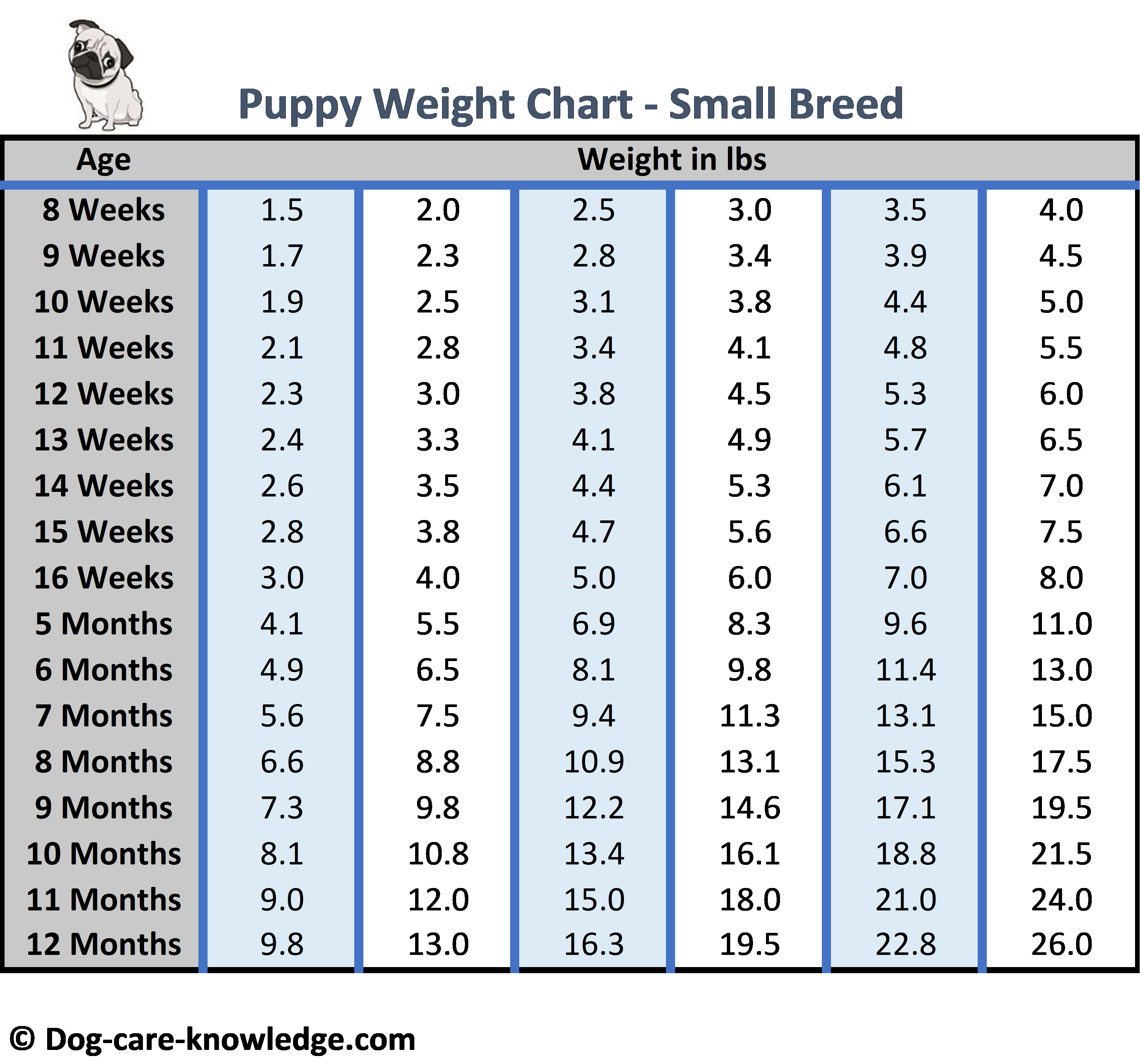 labrador puppy weight chart kg