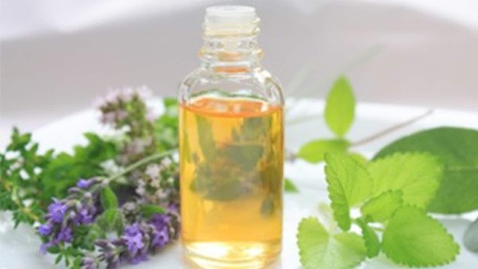 moneycontrol mentha oil