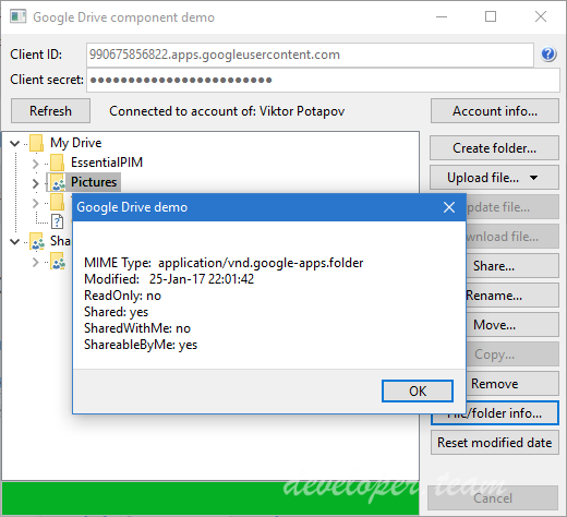 google drive delphi component