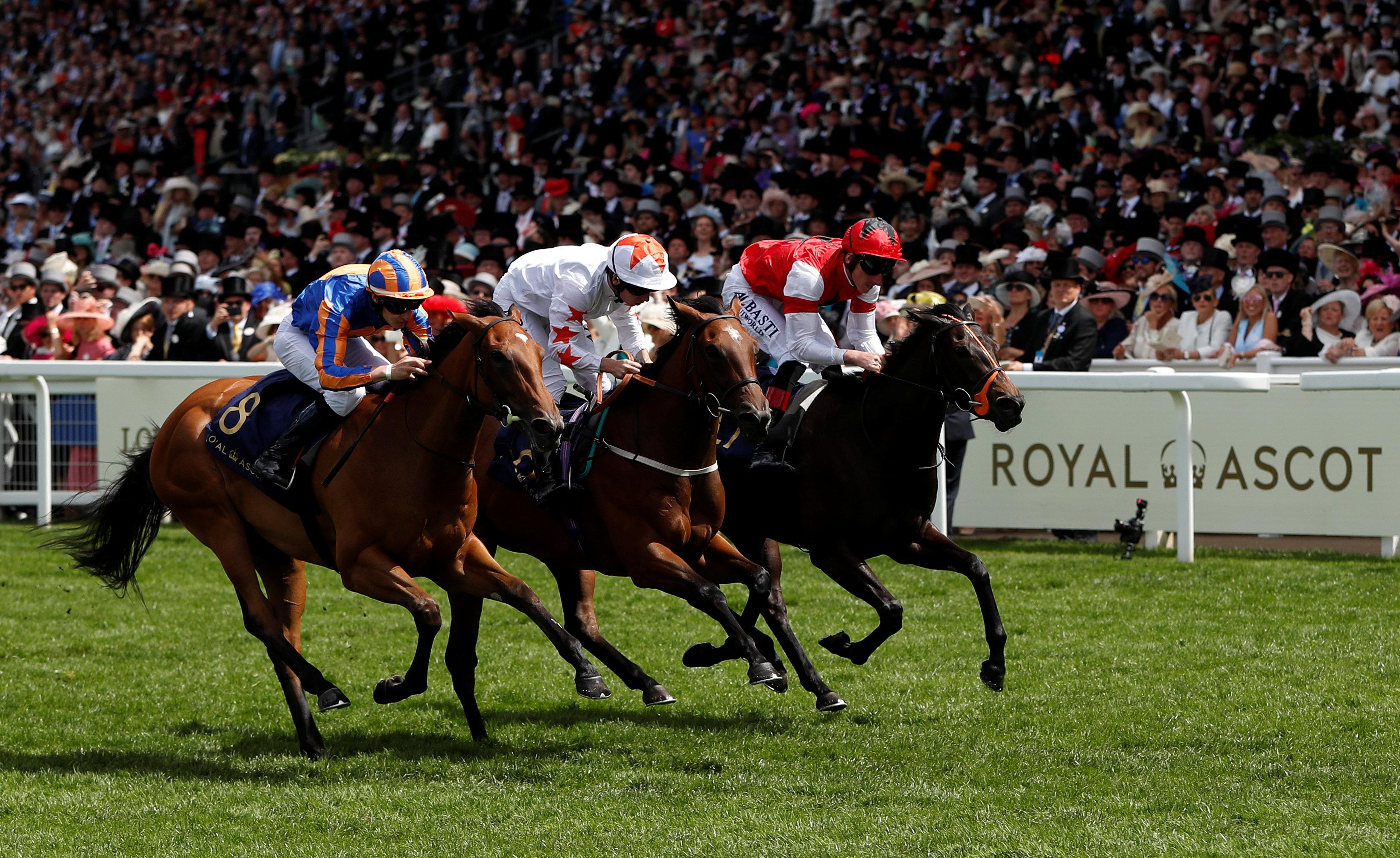 royal ascot todays results