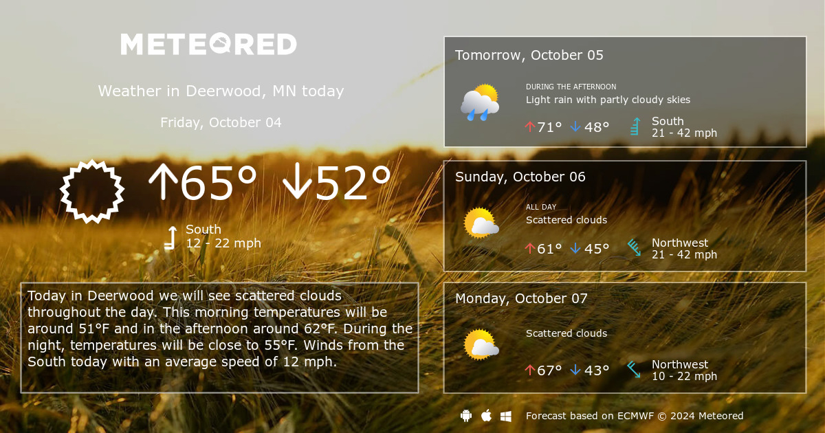 weather for deerwood mn