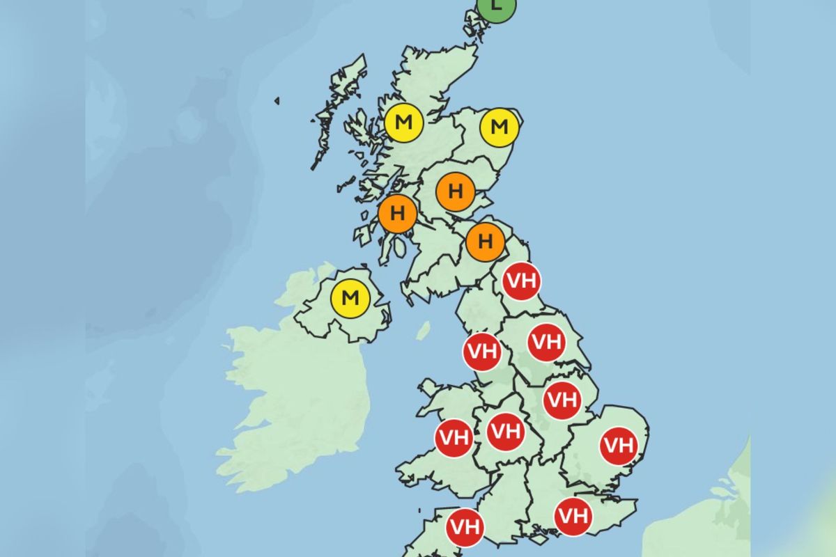 what are the pollen levels today