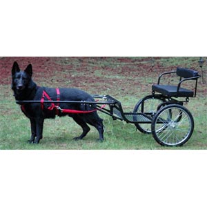 used goat carts for sale