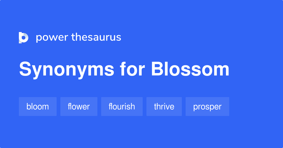 blossom synonym