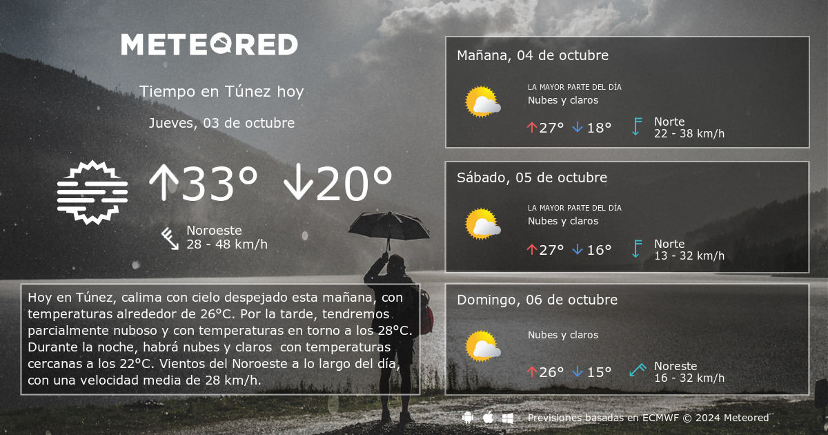 clima de 10 días para túnez