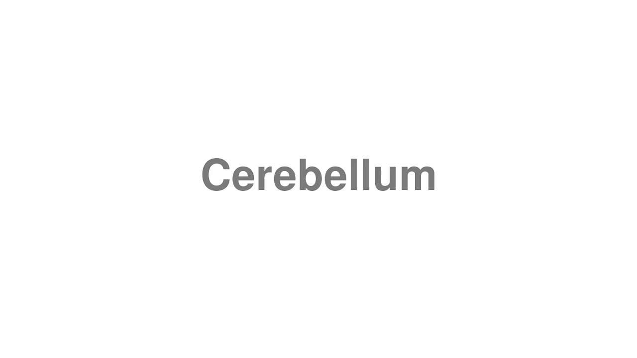 pronunciation of cerebellum