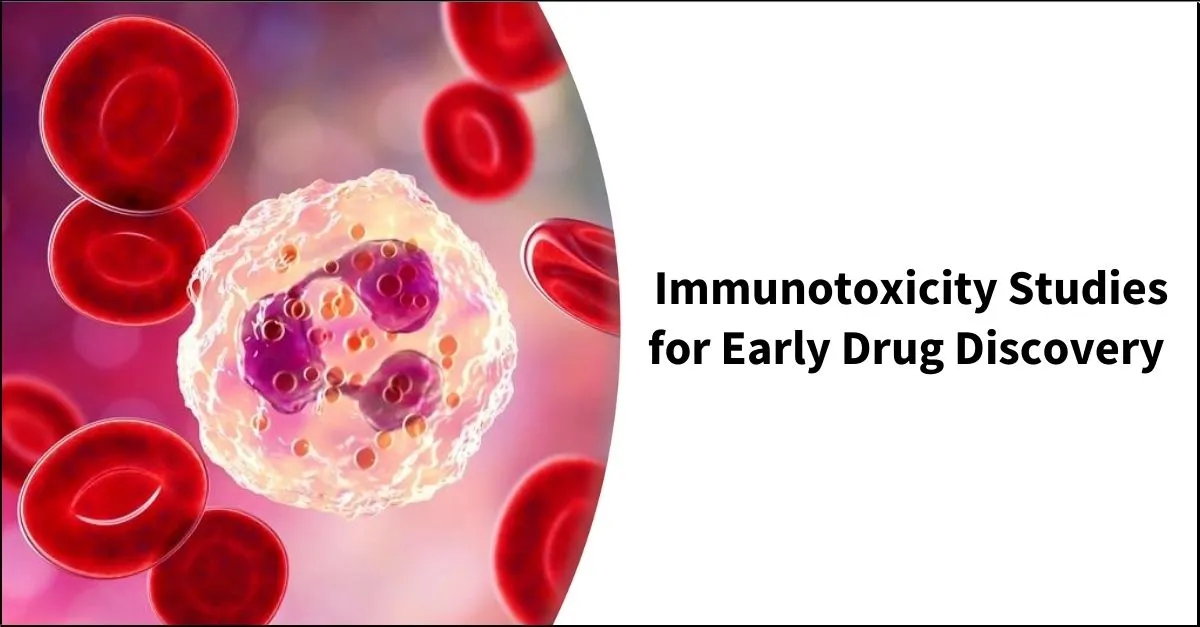 immunotoxicity