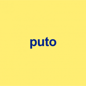 pute in spanish