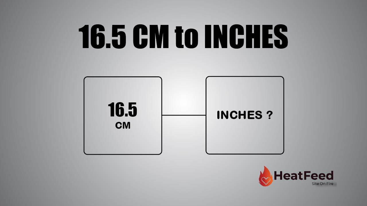 16.5 cm into inches