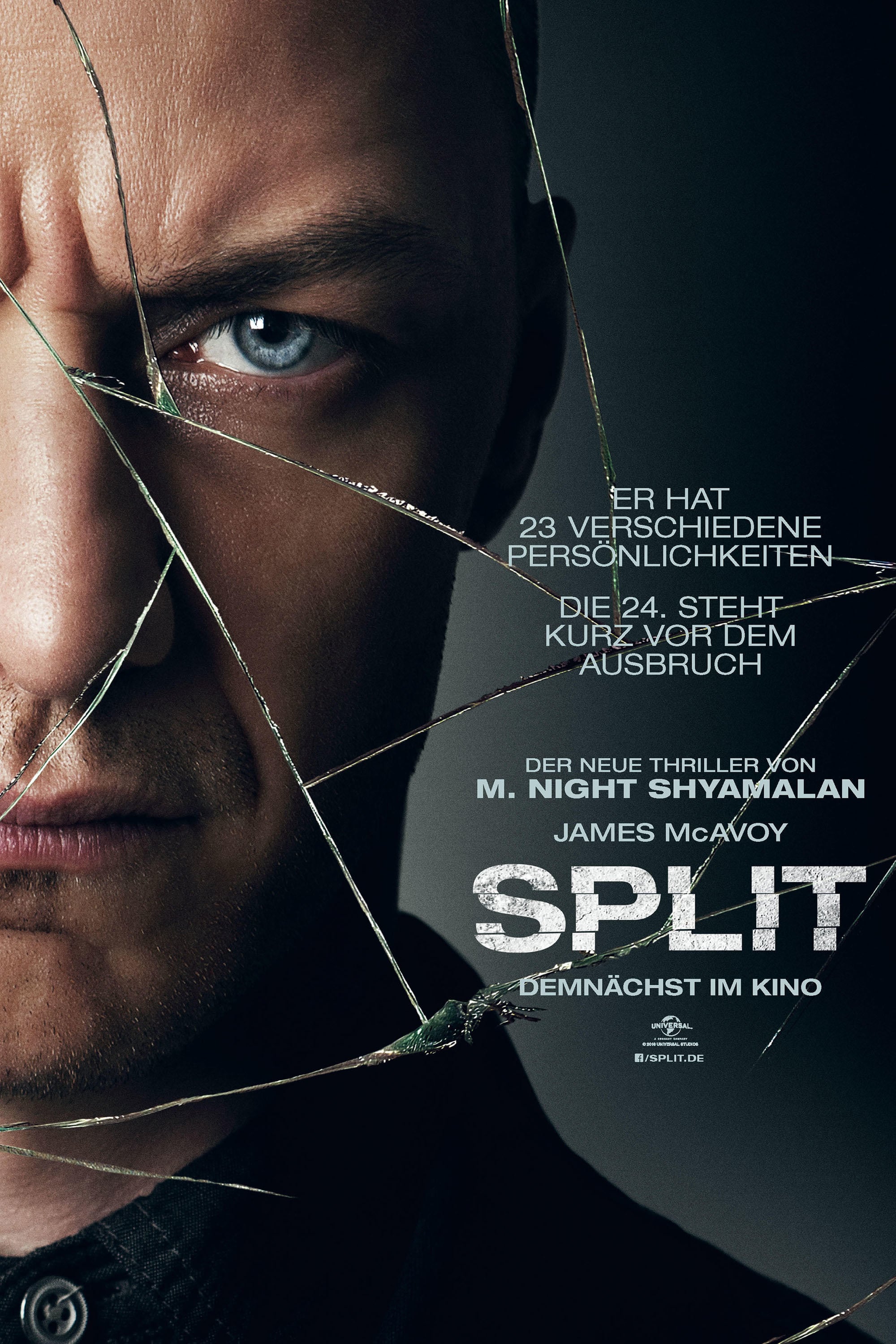 imdb split