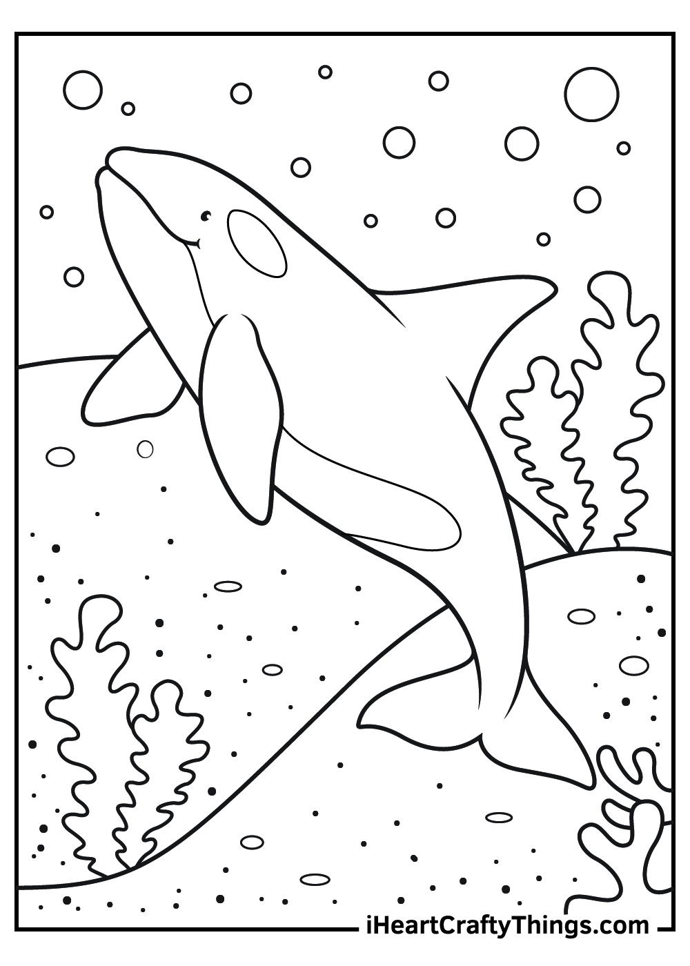 killer whale coloring page