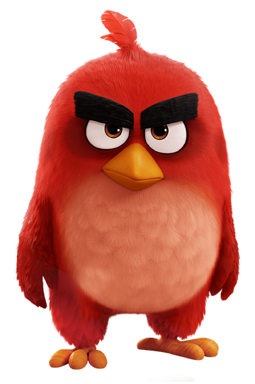 pic of angry birds