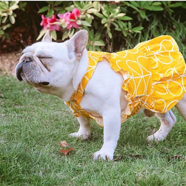 french bulldog clothes