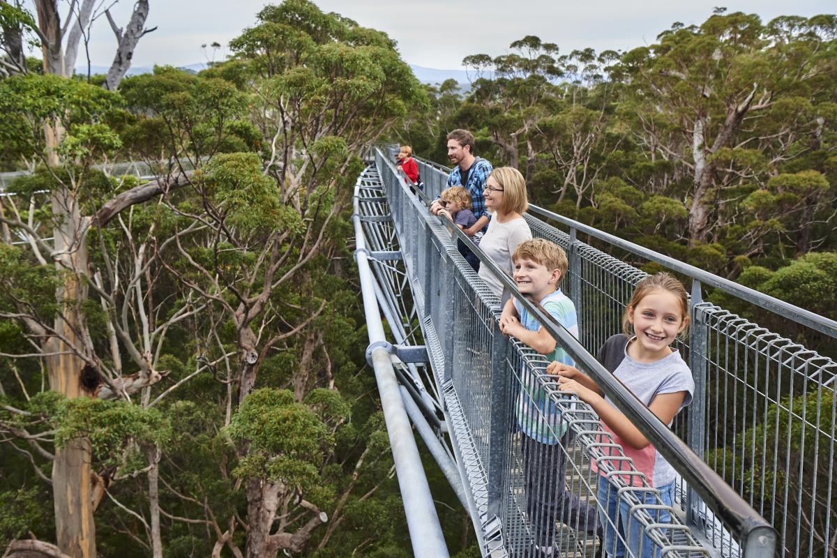 valley of the giants tree top walk reviews