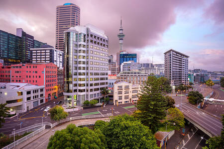 auckland orario