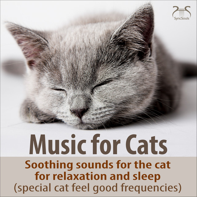 cat sleep music