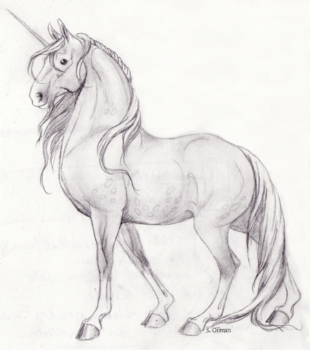 unicorn sketch