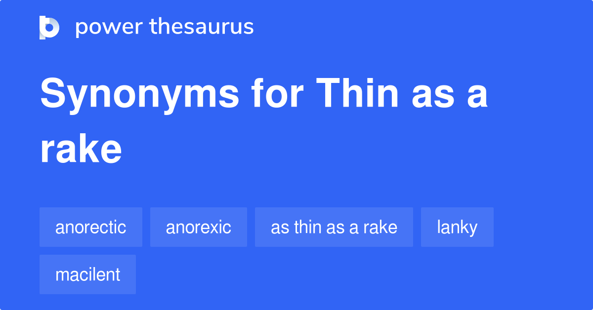 thin synonym