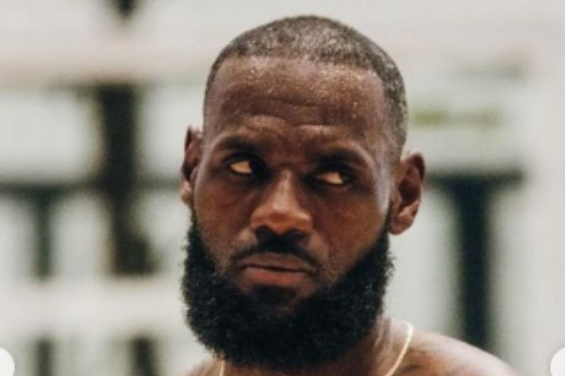 lebron james bart simpson