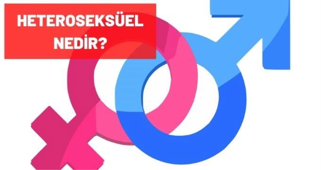 heterosexual nedir anlamı