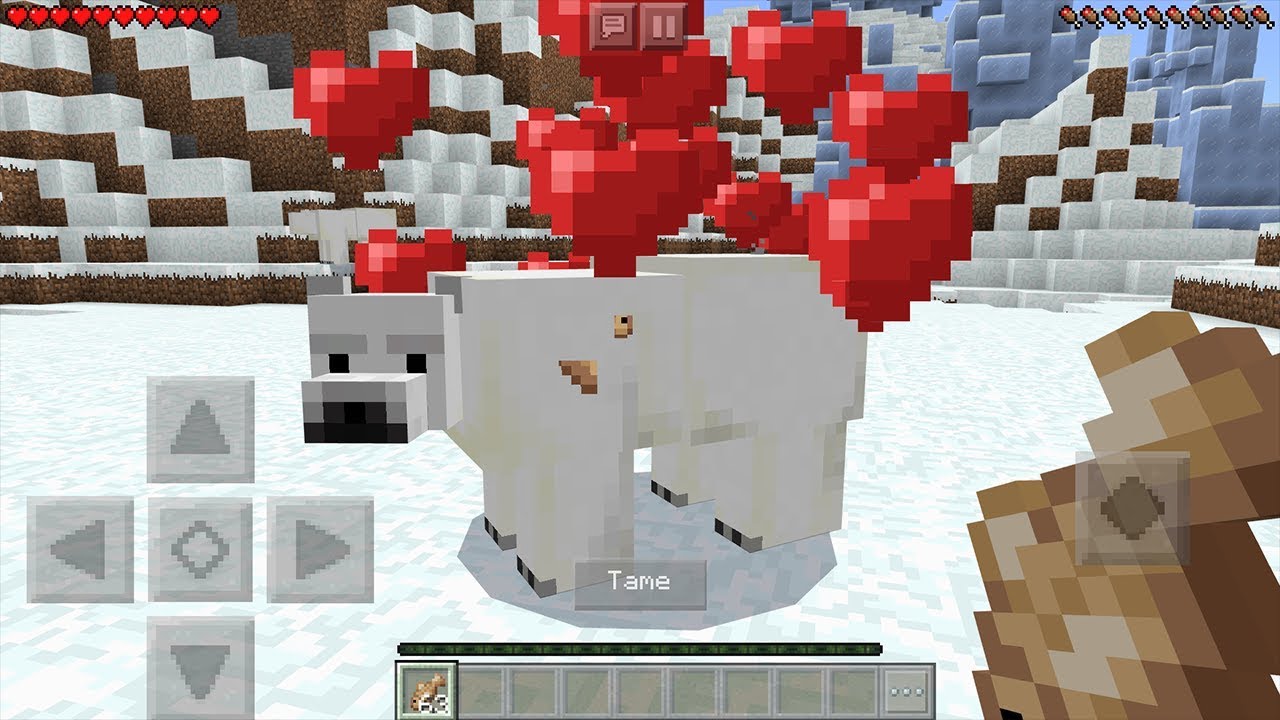 how do i tame a polar bear in minecraft