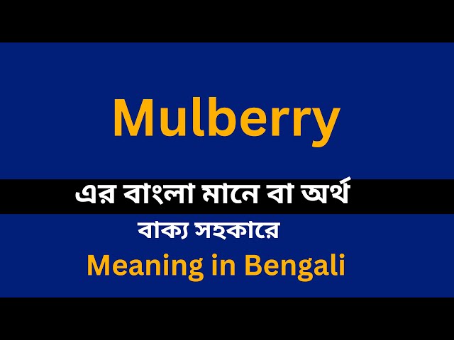 mulberry meaning in bengali