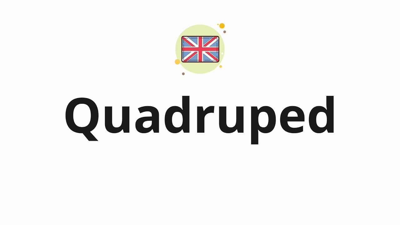 quadruped pronunciation