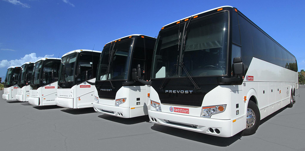 grand canyon bus tours from las vegas