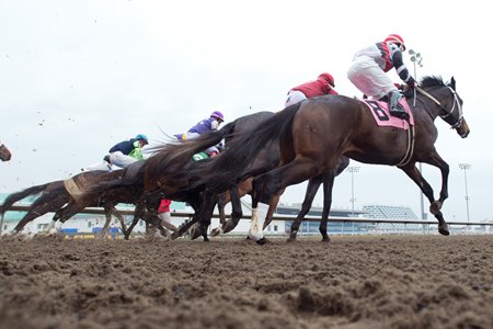 results from woodbine