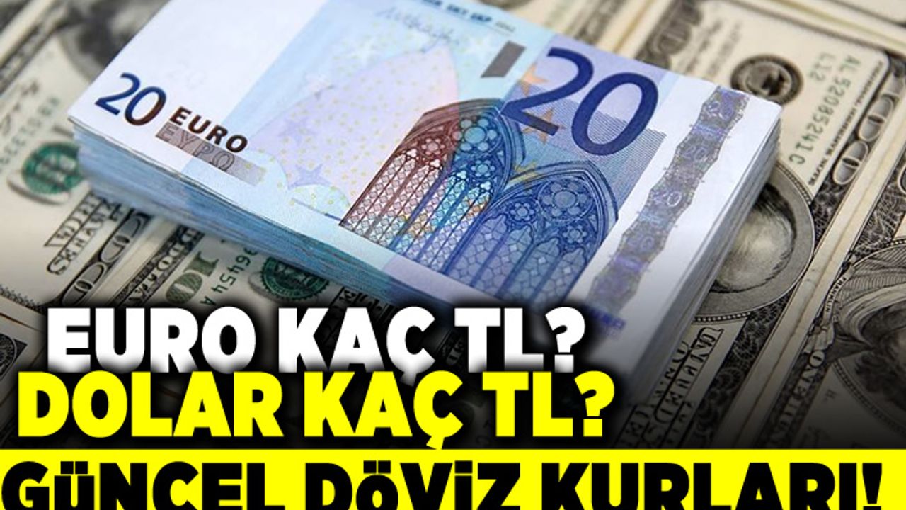 20 tl kaç euro