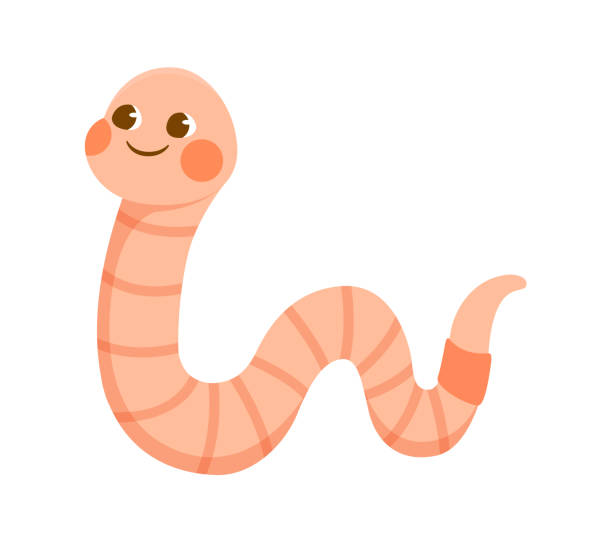 clip art worm