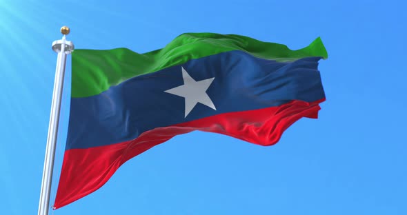 ogaden flag