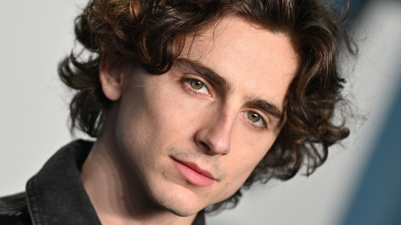 timothee chalamet zodiac sign