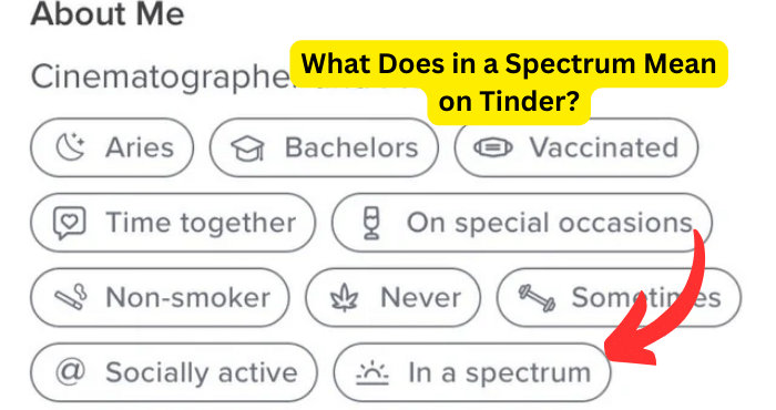 in a spectrum meaning tinder