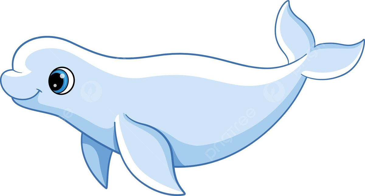 beluga whale clipart