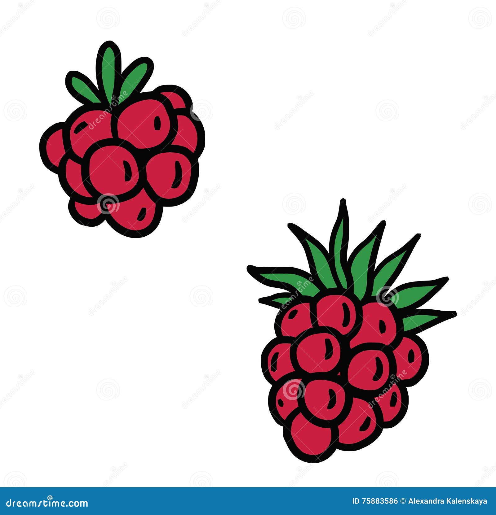 berries clipart