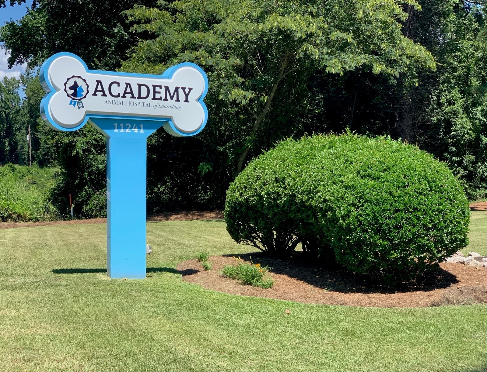 academy animal hospital of laurinburg