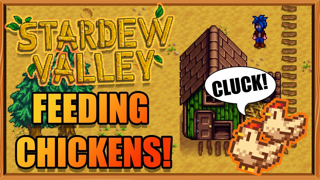 how do you feed the chickens in stardew valley