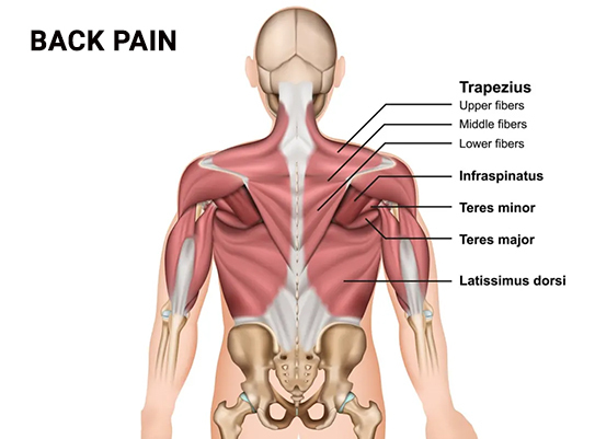 stabbing pain in upper back right side