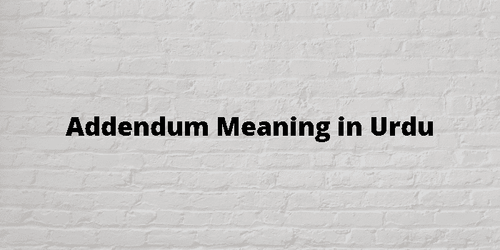 addendum meaning in urdu